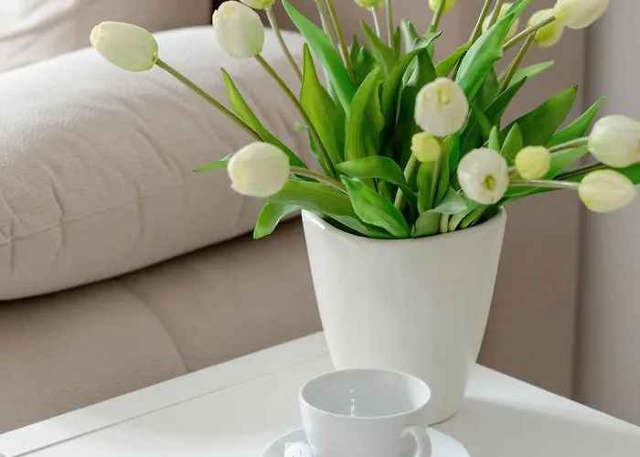 Funkcjonalne I Komfortowe Sun Seasons 24 W Kolobrzegu By Renters Апартаменты Колобжег