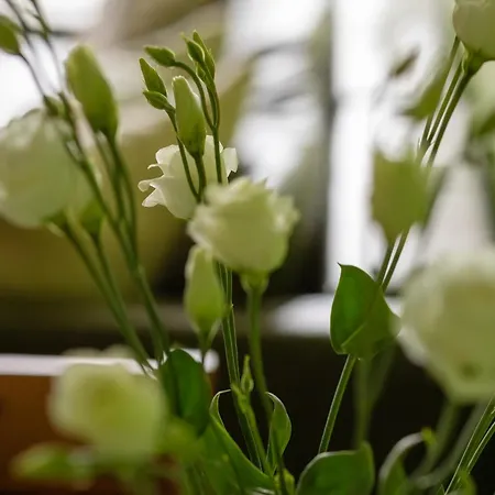 Funkcjonalne I Komfortowe Sun Seasons 24 W Kolobrzegu By Renters 코워브제크