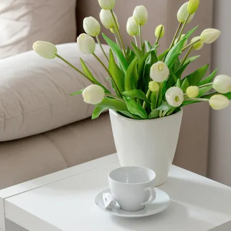 Funkcjonalne I Komfortowe Sun Seasons 24 W Kolobrzegu By Renters 아파트 코워브제크